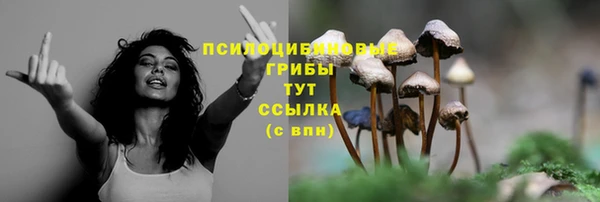 марки nbome Аркадак
